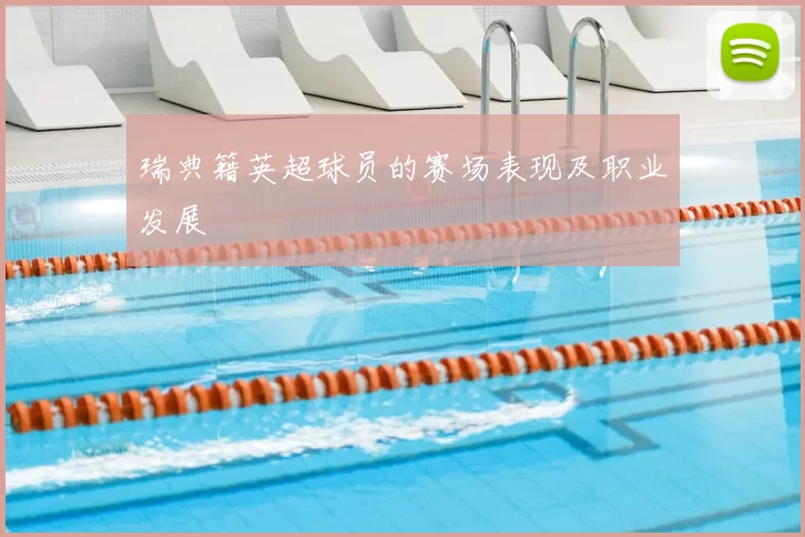 瑞典籍英超球员的赛场表现及职业发展