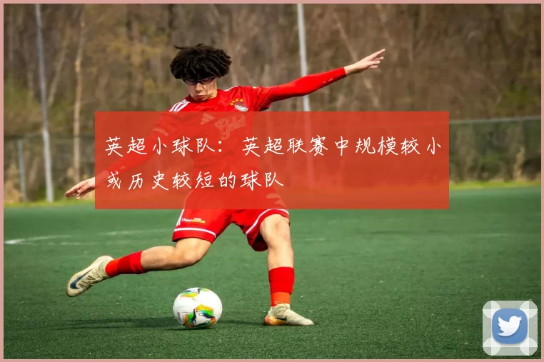 英超小球队:英超联赛中规模较小或历史较短的球队