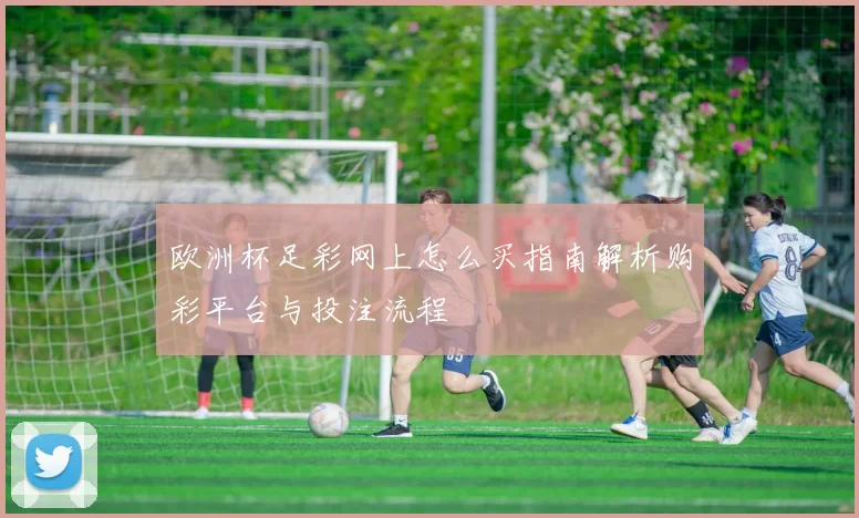 欧洲杯足彩网上怎么买指南解析购彩平台与投注流程