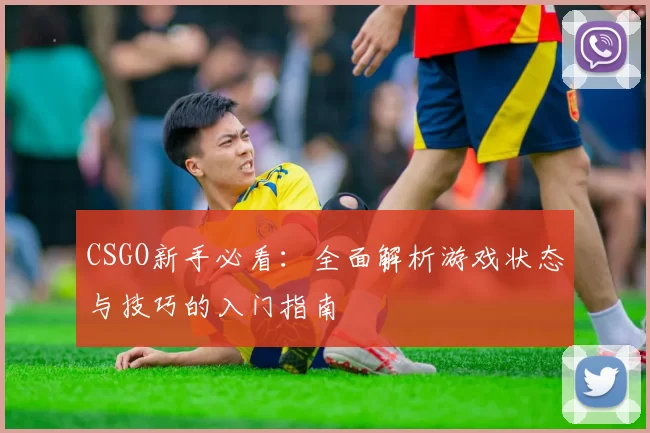 CSGO新手必看:全面解析游戏状态与技巧的入门指南