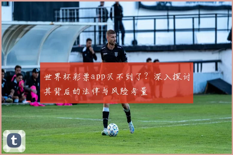 世界杯彩票app买不到了?深入探讨其背后的法律与风险考量