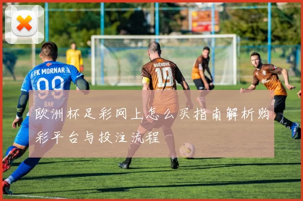 欧洲杯足彩网上怎么买指南解析购彩平台与投注流程