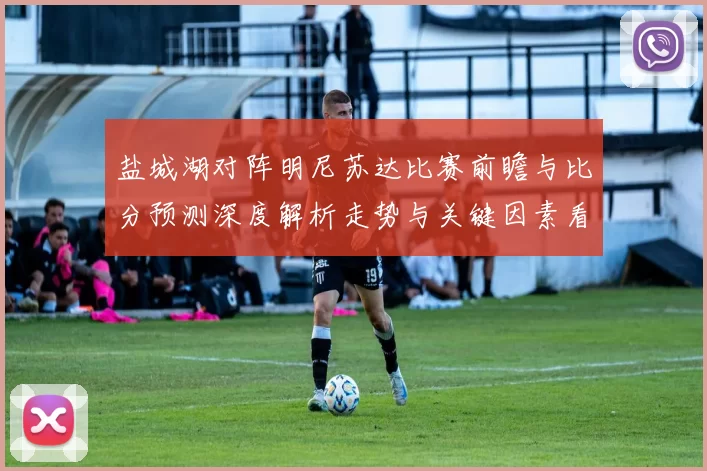 盐城湖对阵明尼苏达比赛前瞻与比分预测深度解析走势与关键因素看点