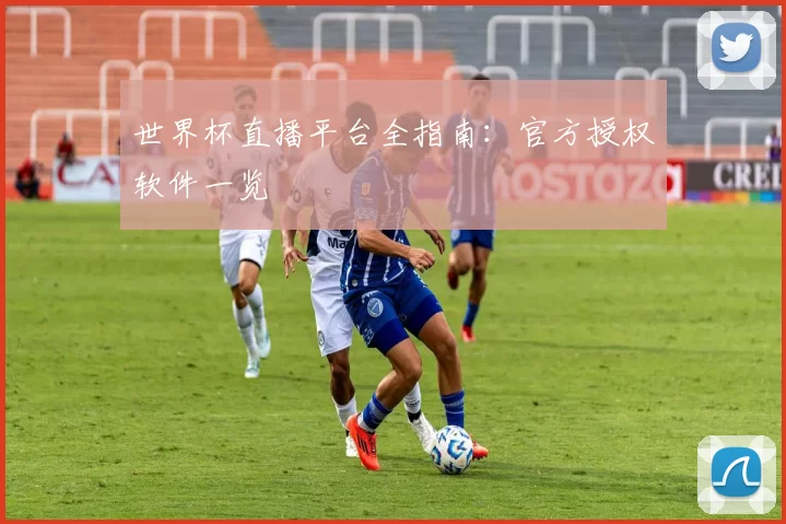 世界杯直播平台全指南:官方授权软件一览