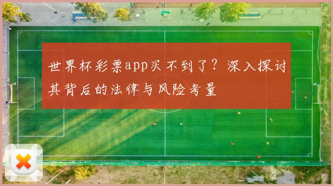 世界杯彩票app买不到了?深入探讨其背后的法律与风险考量