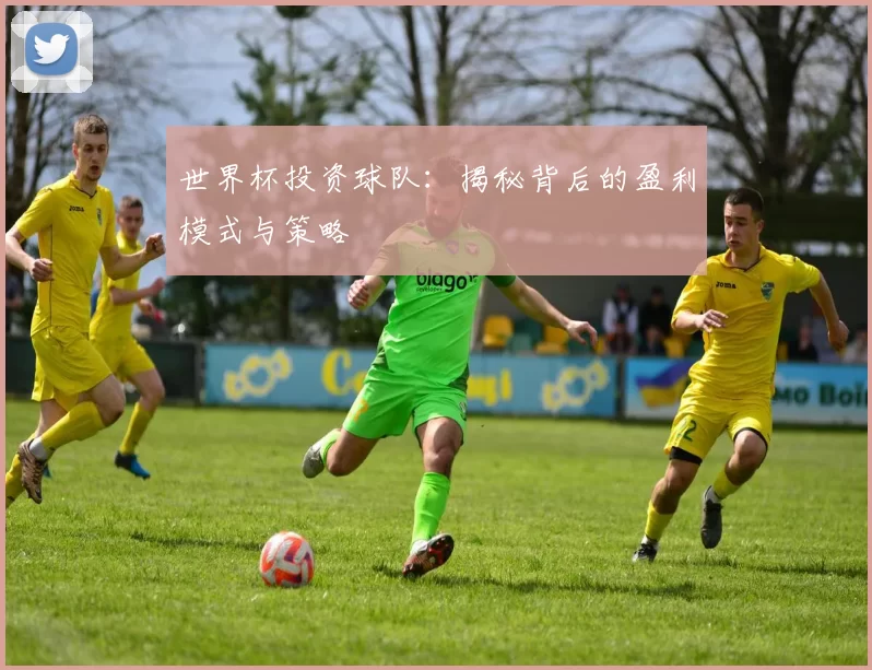 世界杯投资球队:揭秘背后的盈利模式与策略