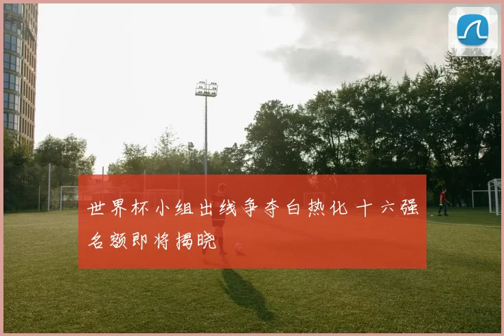 世界杯小组出线争夺白热化 十六强名额即将揭晓