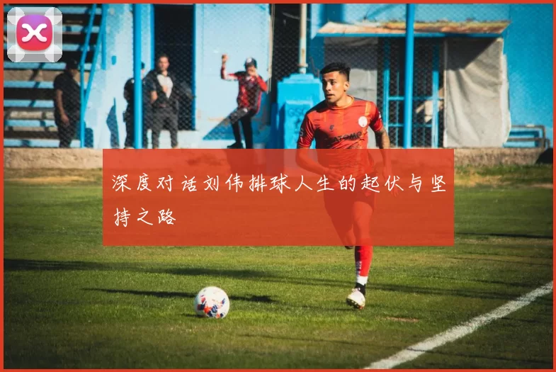 深度对话刘伟排球人生的起伏与坚持之路