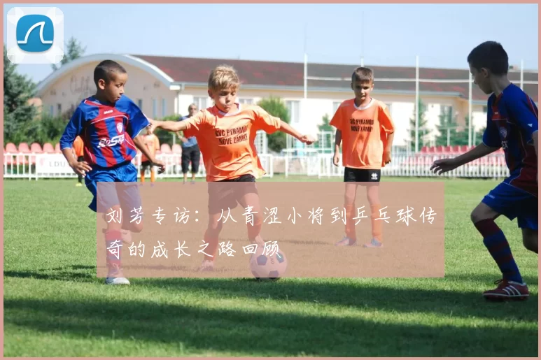 刘芳专访:从青涩小将到乒乓球传奇的成长之路回顾