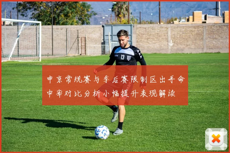 申京常规赛与季后赛限制区出手命中率对比分析小幅提升表现解读