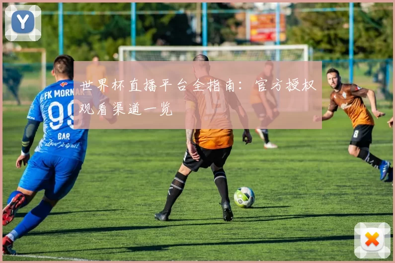 世界杯直播平台全指南：官方授权观看渠道一览