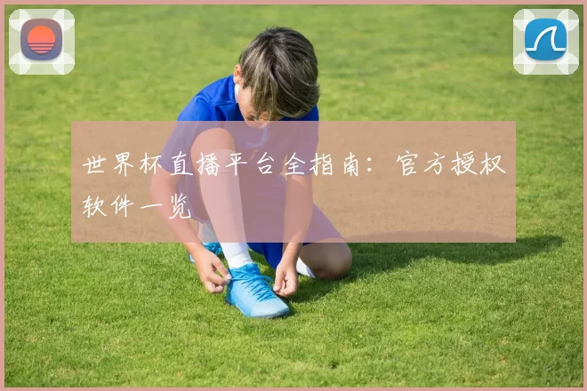 世界杯直播平台全指南：官方授权软件一览