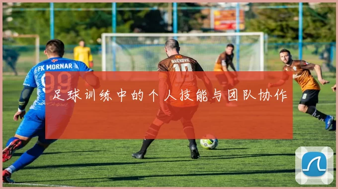 足球训练中的个人技能与团队协作