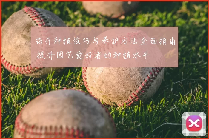 花卉种植技巧与养护方法全面指南 提升园艺爱好者的种植水平