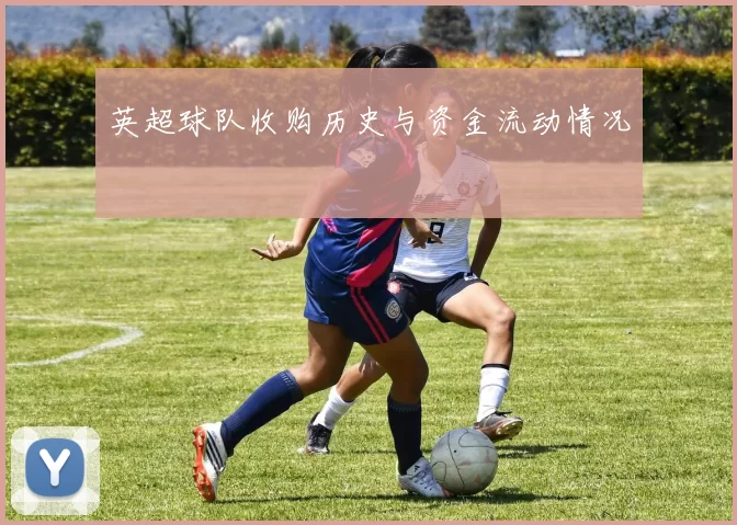 英超球队收购历史与资金流动情况