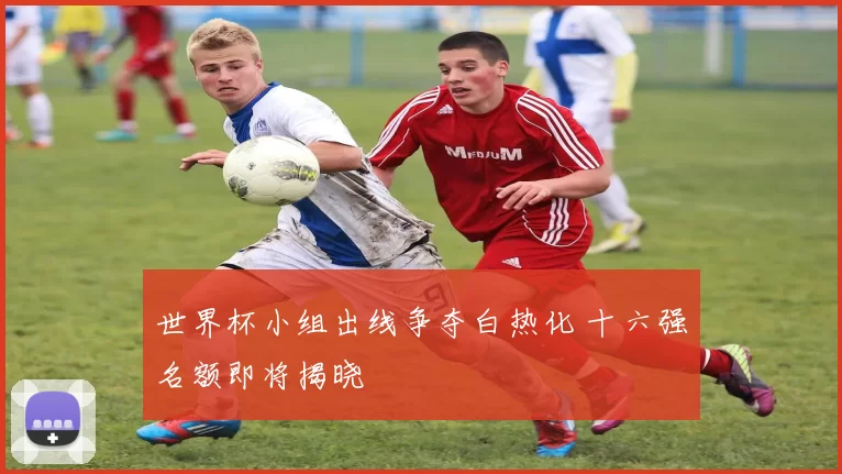 世界杯小组出线争夺白热化 十六强名额即将揭晓