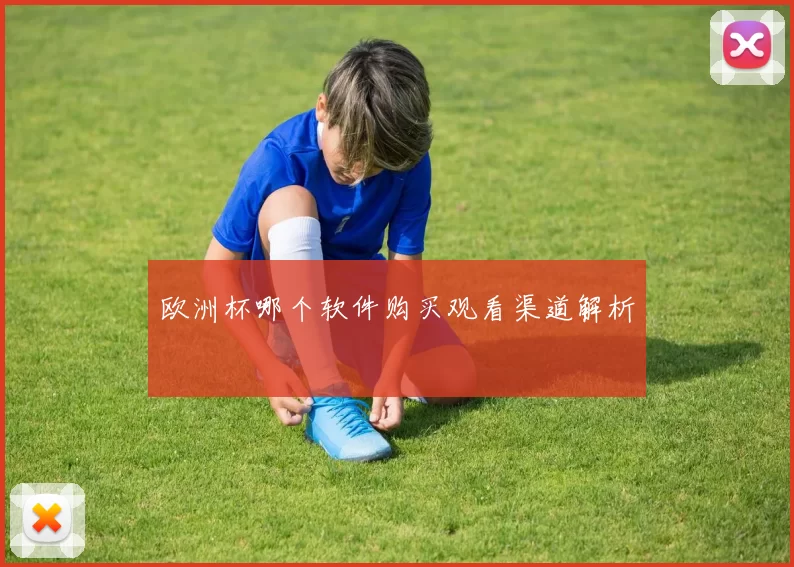 欧洲杯哪个软件购买观看渠道解析