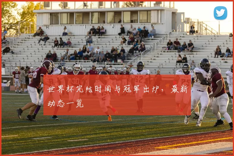 世界杯完结时间与冠军出炉,最新动态一览