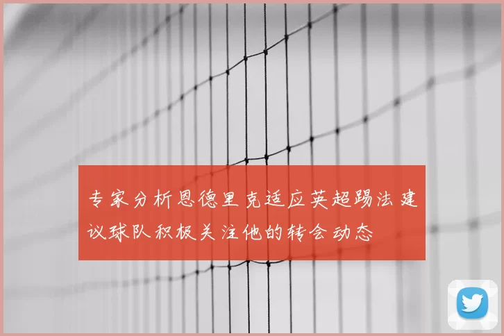 专家分析恩德里克适应英超踢法建议球队积极关注他的转会动态