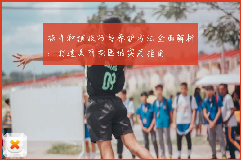 花卉种植技巧与养护方法全面解析,打造美丽花园的实用指南