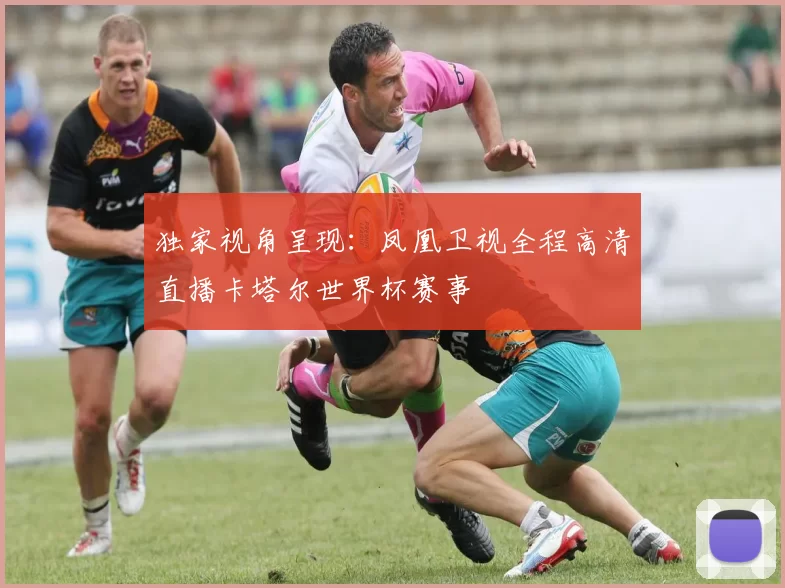 独家视角呈现：凤凰卫视全程高清直播卡塔尔世界杯赛事