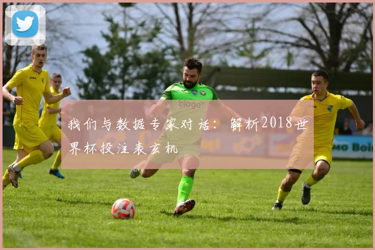 我们与数据专家对话:解析2018世界杯投注表玄机
