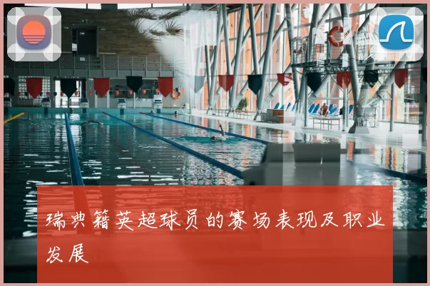 瑞典籍英超球员的赛场表现及职业发展