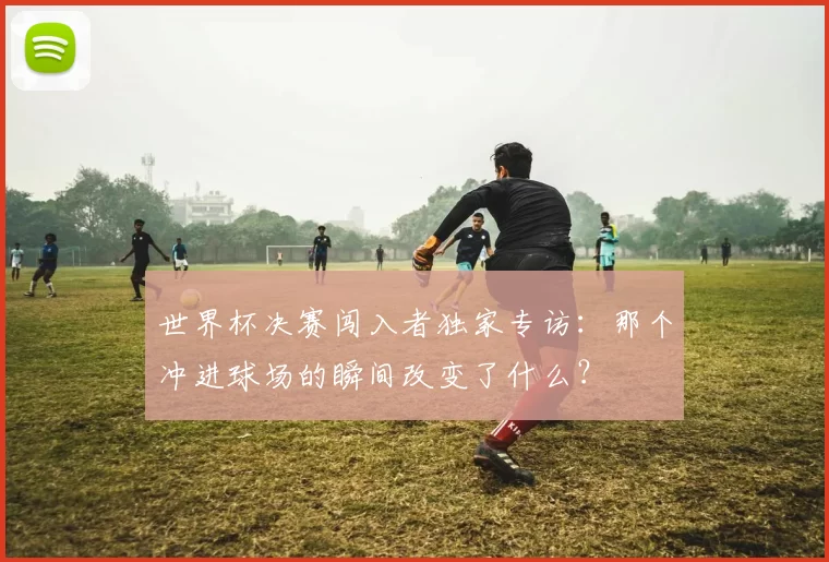 世界杯决赛闯入者独家专访:那个冲进球场的瞬间改变了什么?