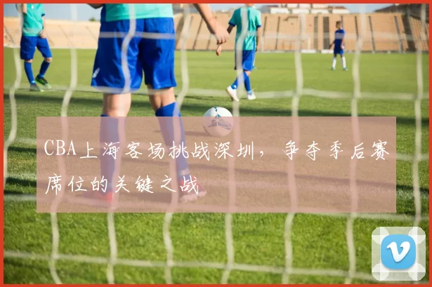 CBA上海客场挑战深圳,争夺季后赛席位的关键之战