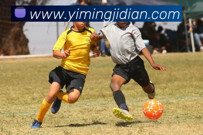 转会风云再起 法甲球员转会潮动向盘点